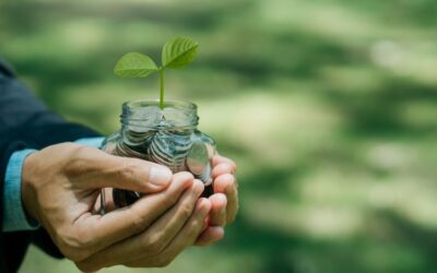 Green Lending: A Golden Opportunity For Credit Unions